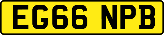 EG66NPB