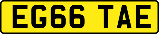 EG66TAE