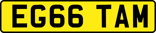 EG66TAM