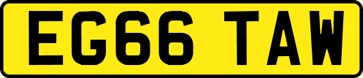 EG66TAW