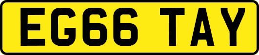EG66TAY