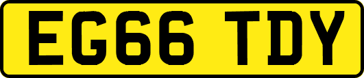 EG66TDY