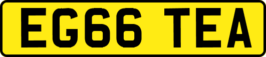 EG66TEA