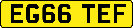 EG66TEF