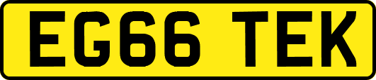EG66TEK