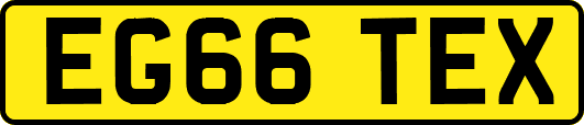 EG66TEX