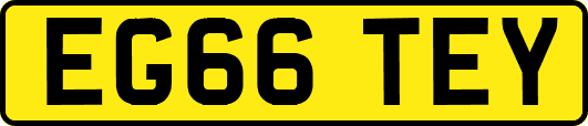 EG66TEY