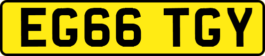 EG66TGY