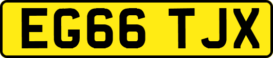 EG66TJX