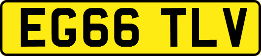 EG66TLV
