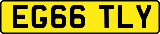 EG66TLY