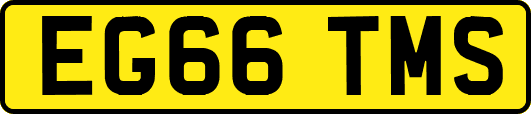 EG66TMS