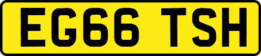 EG66TSH