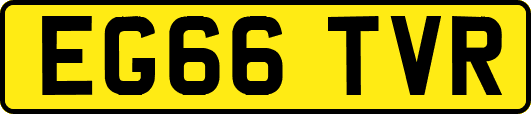 EG66TVR