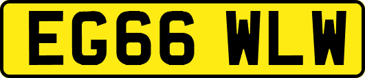 EG66WLW