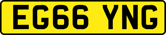 EG66YNG