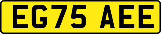 EG75AEE