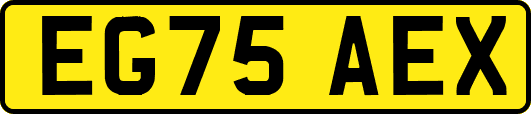 EG75AEX