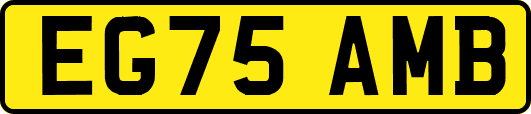 EG75AMB