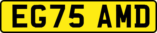 EG75AMD