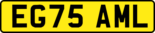 EG75AML