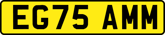 EG75AMM