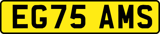 EG75AMS
