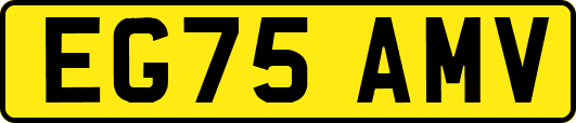 EG75AMV