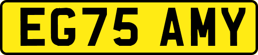 EG75AMY
