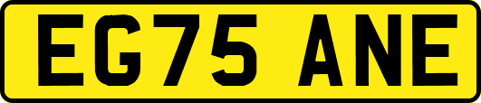 EG75ANE