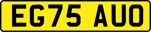 EG75AUO