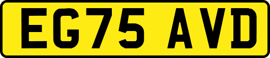 EG75AVD