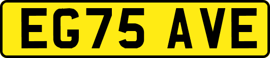EG75AVE