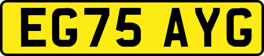 EG75AYG