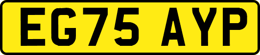EG75AYP