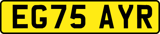 EG75AYR