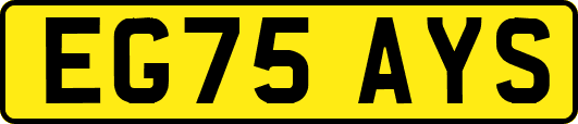 EG75AYS