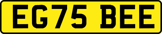 EG75BEE