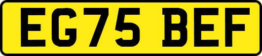 EG75BEF
