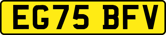 EG75BFV