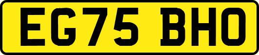 EG75BHO