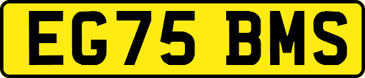 EG75BMS