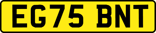 EG75BNT