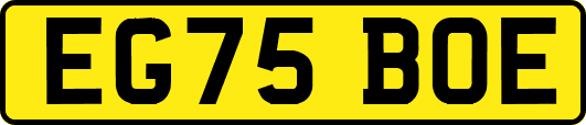 EG75BOE