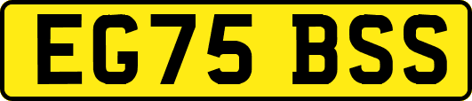 EG75BSS