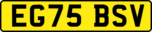 EG75BSV