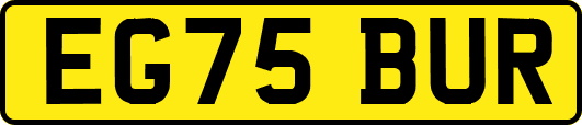 EG75BUR