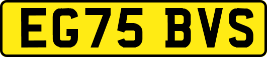 EG75BVS