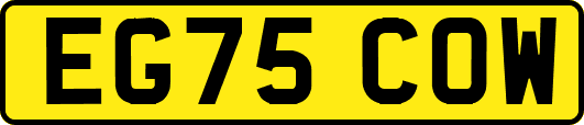 EG75COW