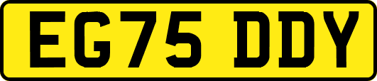 EG75DDY